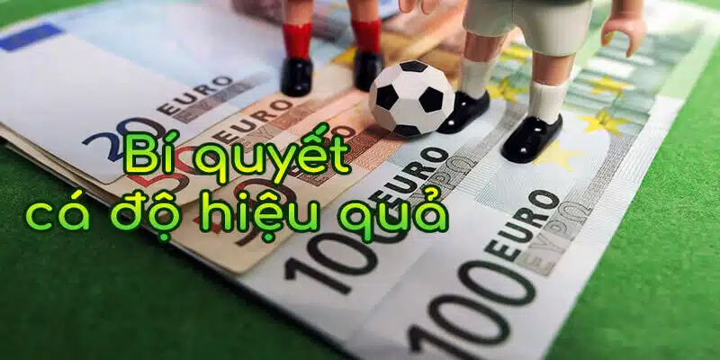 5 Bí Quyết Cá Độ Bóng Đá Siêu Hiệu Quả Từ Chuyên Gia Hi88