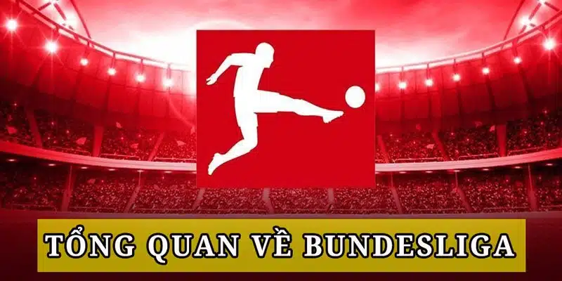 Sơ lược sân chơi Bundesliga hấp dẫn tại châu Âu