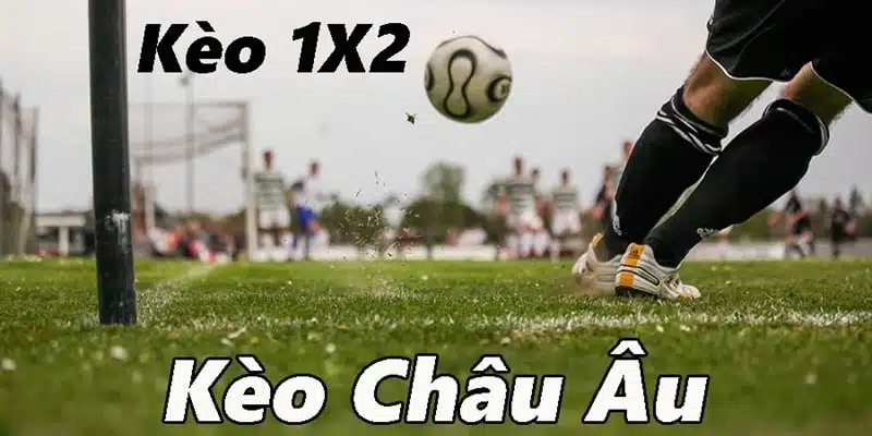 Tỷ lệ 1x2 là loại kèo Cúp C1 - Châu Âu có cách đọc đặc biệt đơn giản